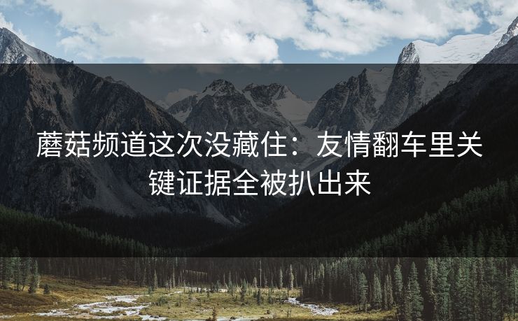 蘑菇频道这次没藏住:友情翻车里关键证据全被扒出来 蘑菇频道这次没藏住:友情翻车里关键证据全被扒出来