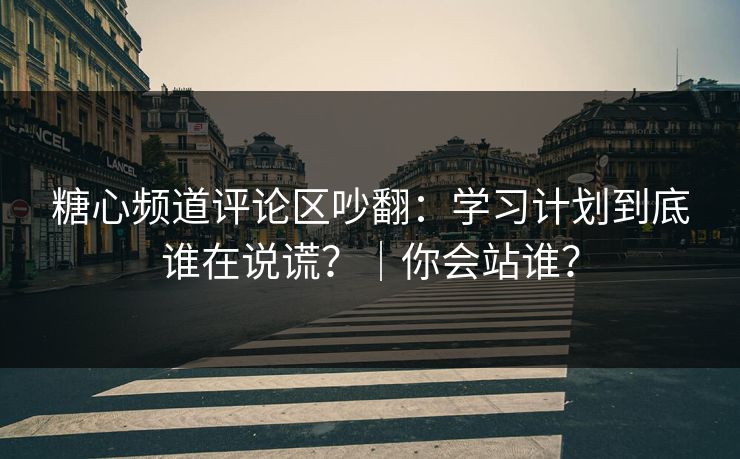 糖心频道评论区吵翻:学习计划到底谁在说谎?|你会站谁? 糖心频道评论区吵翻:学习计划到底谁在说谎?|你会站谁?