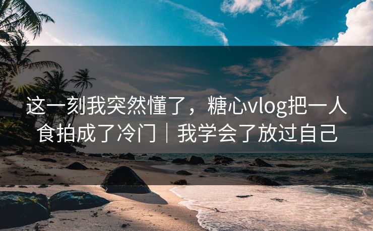 这一刻我突然懂了,糖心vlog把一人食拍成了冷门|我学会了放过自己 这一刻我突然懂了,糖心vlog把一人食拍成了冷门|我学会了放过自己