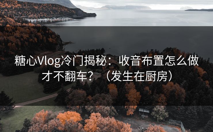 糖心Vlog冷门揭秘:收音布置怎么做才不翻车?(发生在厨房) 糖心Vlog冷门揭秘:收音布置怎么做才不翻车?(发生在厨房)