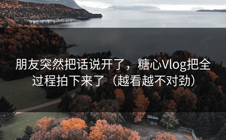 朋友突然把话说开了,糖心Vlog把全过程拍下来了(越看越不对劲) 朋友突然把话说开了,糖心Vlog把全过程拍下来了(越看越不对劲)