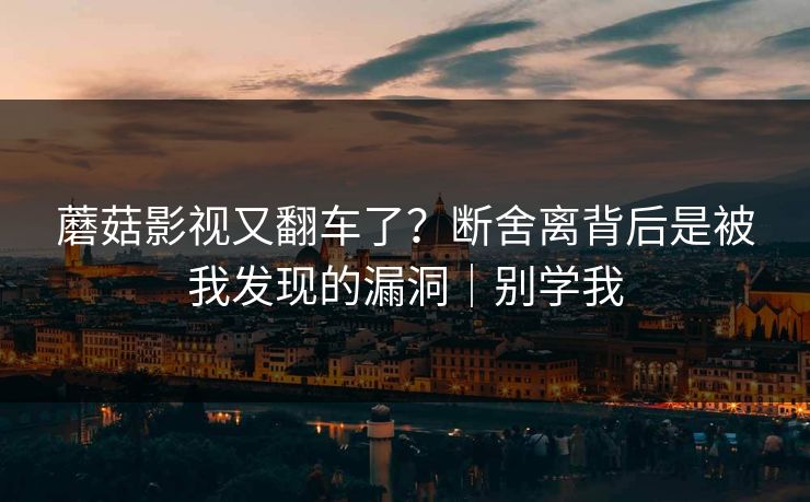 蘑菇影视又翻车了?断舍离背后是被我发现的漏洞|别学我 蘑菇影视又翻车了?断舍离背后是被我发现的漏洞|别学我