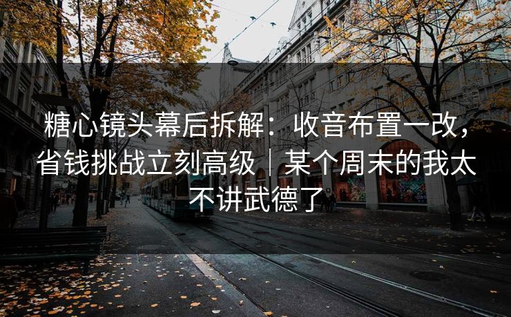 糖心镜头幕后拆解：收音布置一改，省钱挑战立刻高级｜某个周末的我太不讲武德了