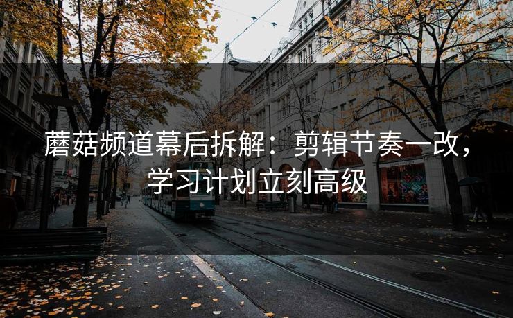 蘑菇频道幕后拆解：剪辑节奏一改，学习计划立刻高级