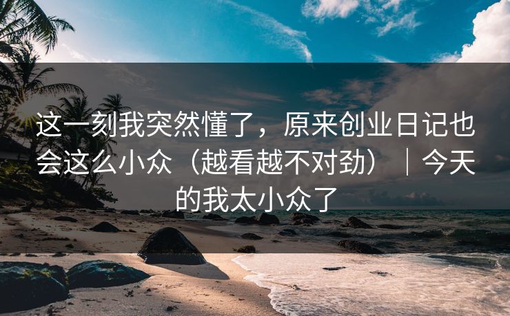 这一刻我突然懂了，原来创业日记也会这么小众（越看越不对劲）｜今天的我太小众了